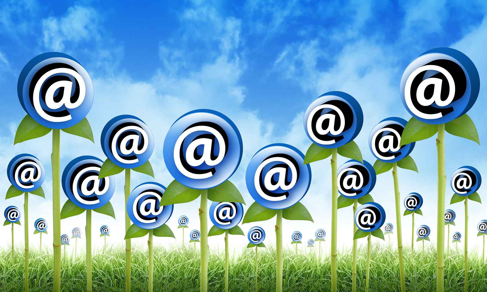 Our Best Practices for Email Marketing Automation