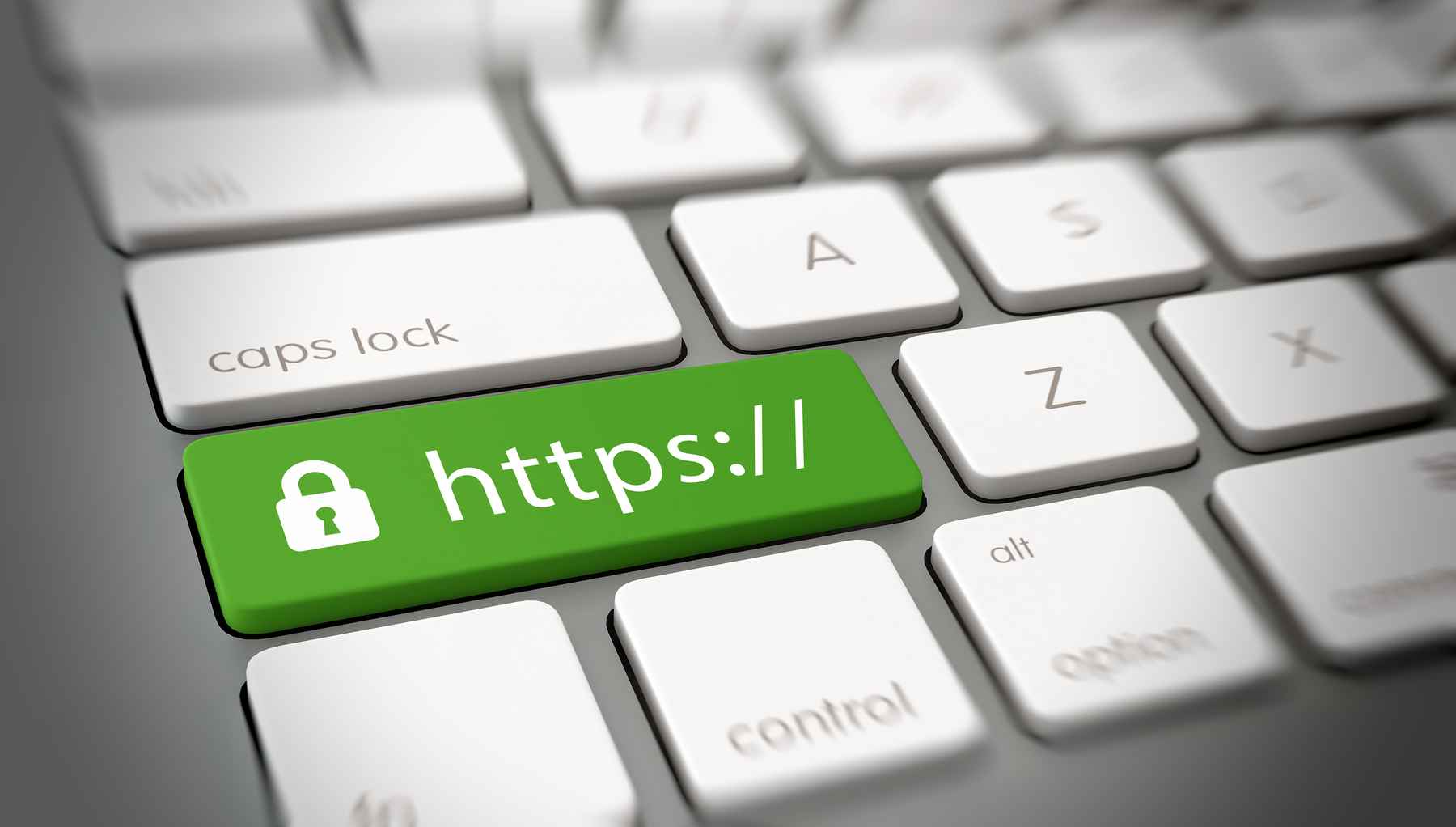 Website Security for Your Small Business: What You Need to Know