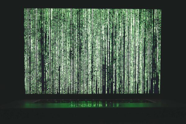 Data Wrangling 101: Prepping Your Business Data for AI Success