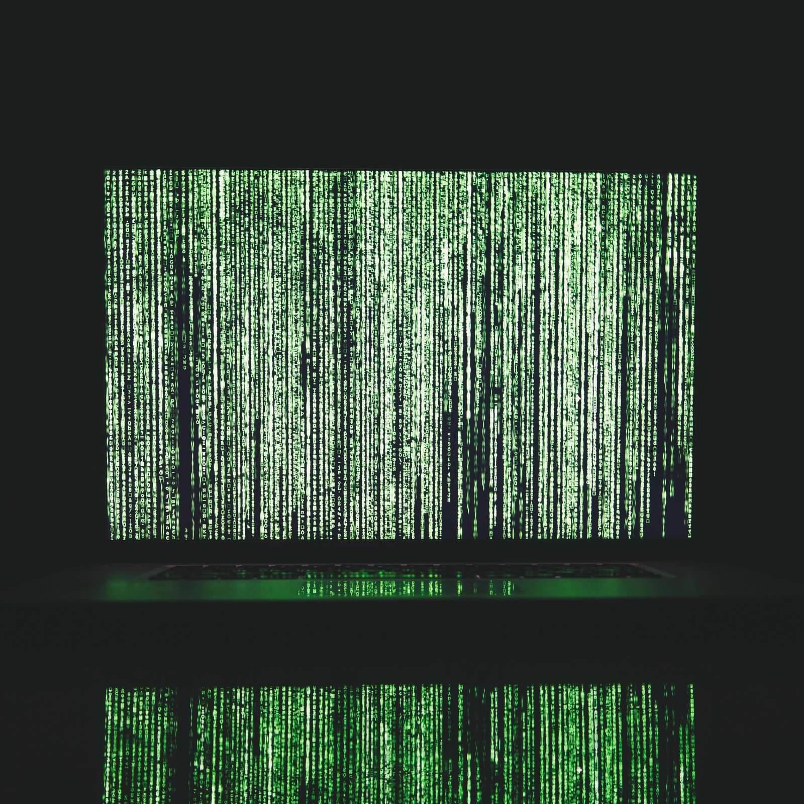 Data Wrangling 101: Prepping Your Business Data for AI Success