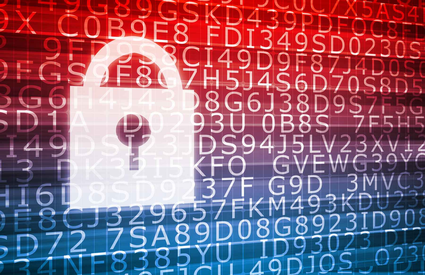 Basic Steps to Protect Against Common CMS Vulnerabilities